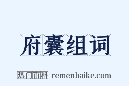 府囊组词是什么意思的图片